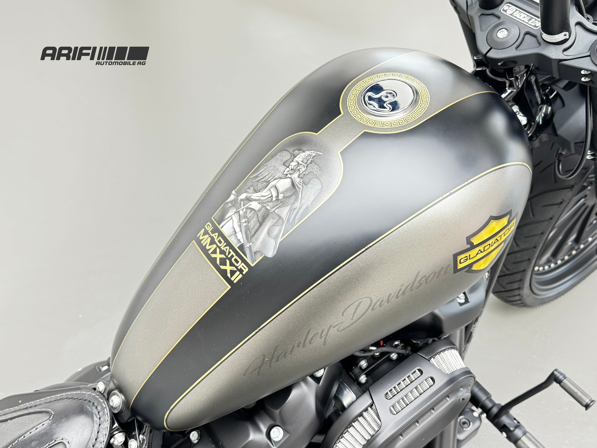 HARLEY-DAVIDSON FXBRS Breakout 114 ABS "GLADIATOR"-image-14