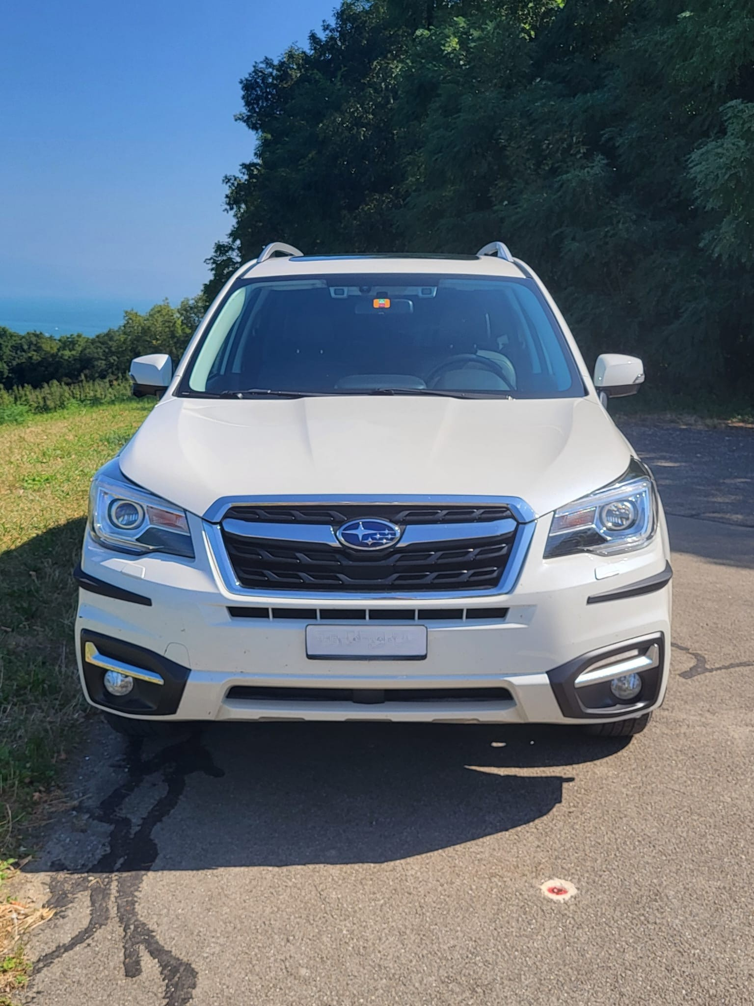 SUBARU Forester 2.0i Executive Lineartronic-image-2