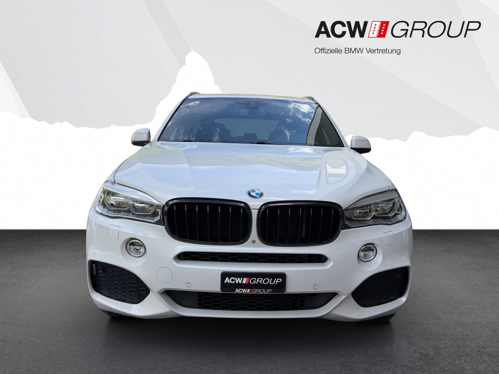 BMW X5 30d xDrive-image-7