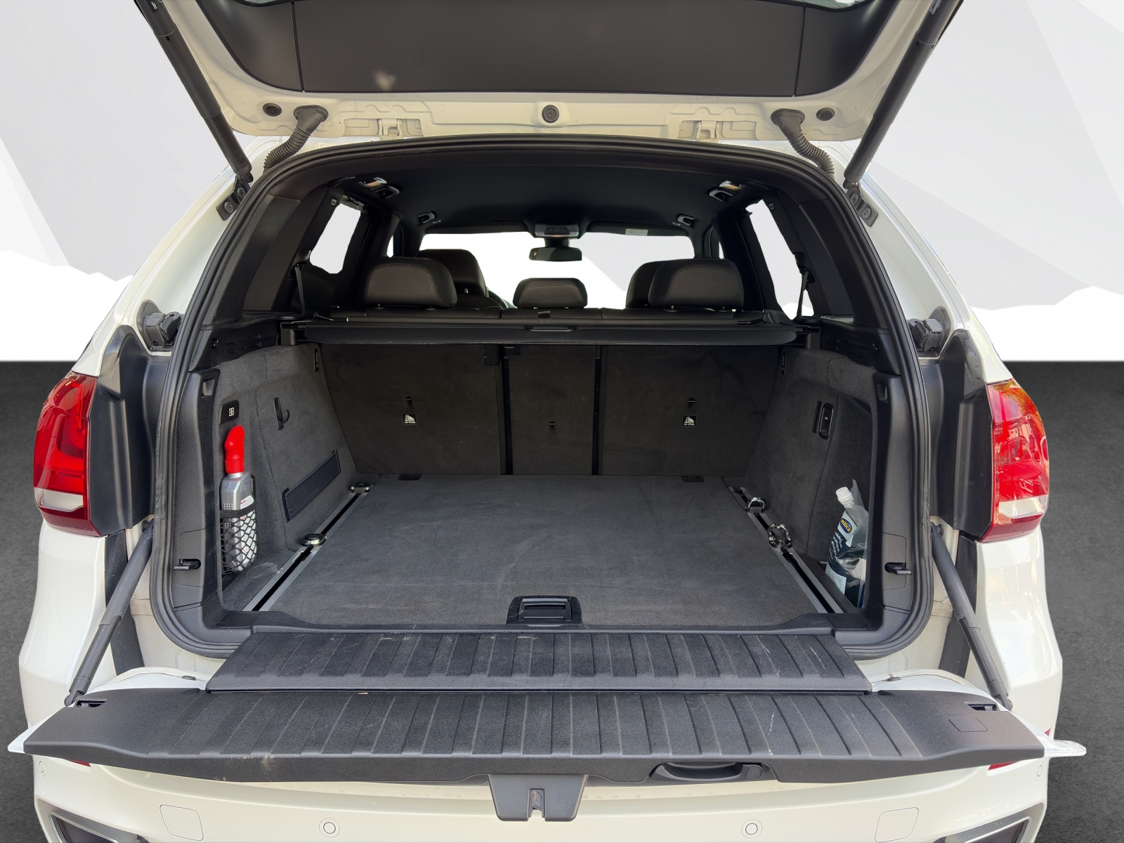 BMW X5 30d xDrive-image-18