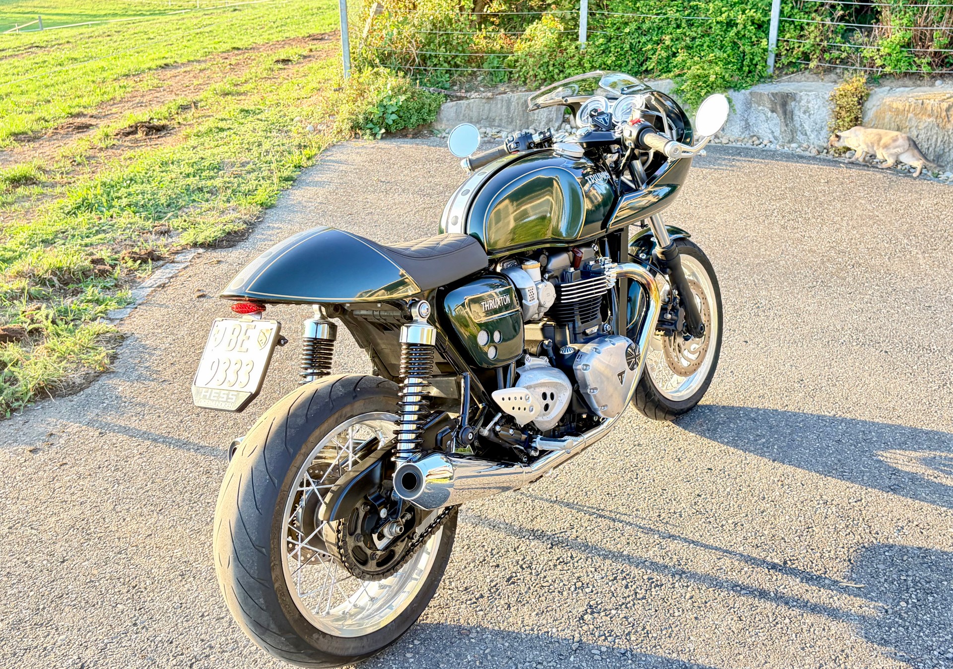 TRIUMPH 1200 ABS Cafe Racer-image-7