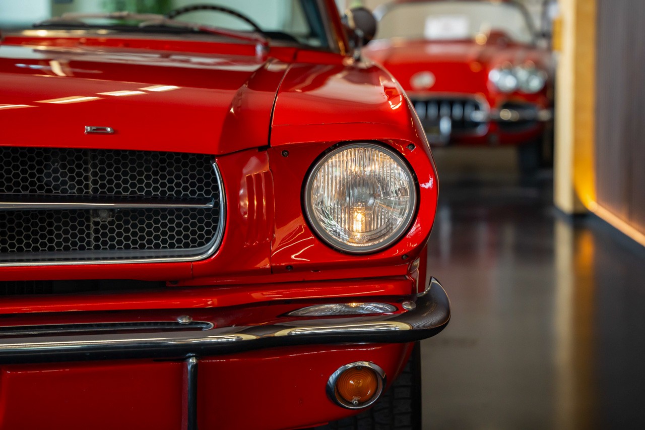 FORD MUSTANG V8-image-6