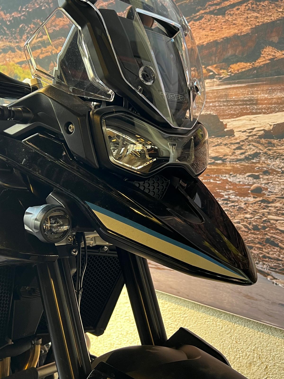 TRIUMPH Tiger 900 Alpine-image-2