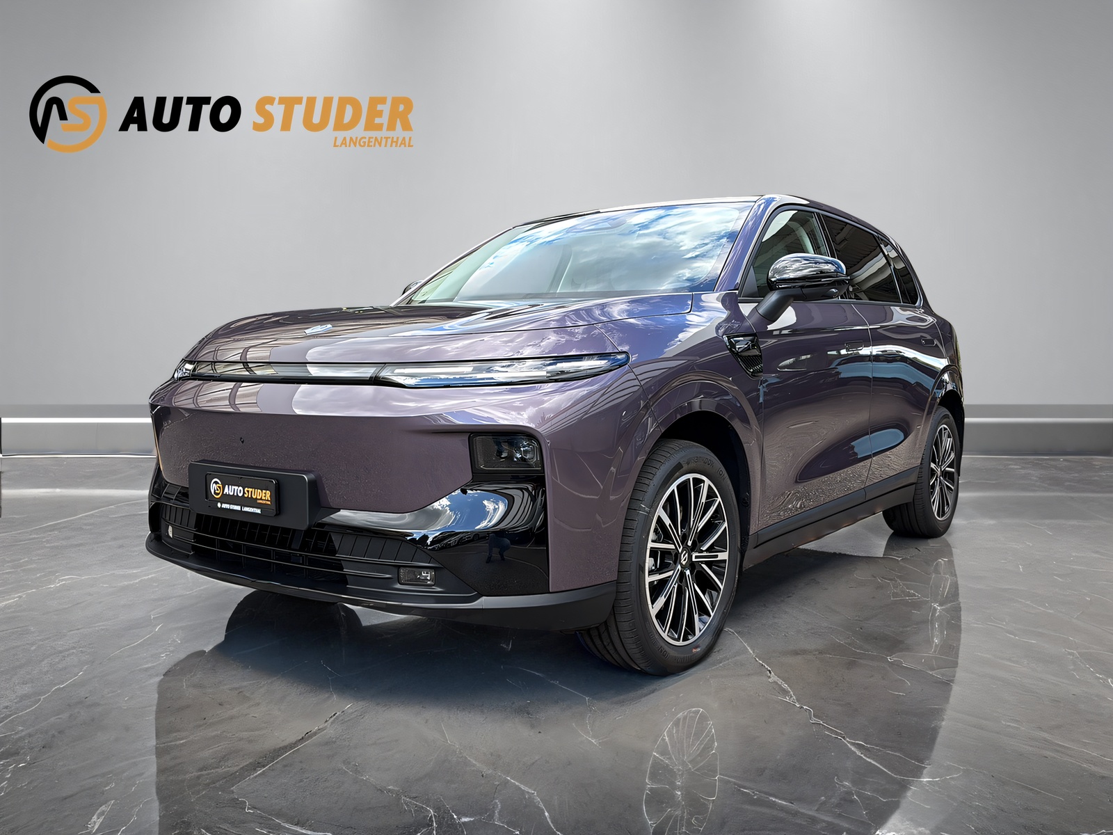LEAPMOTOR B10 EV-showroom-element-1