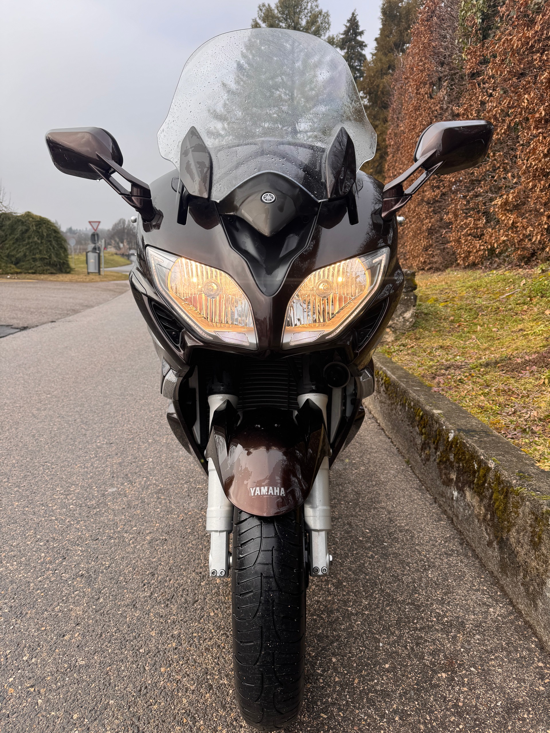 YAMAHA FJR 1300 ABS-image-6