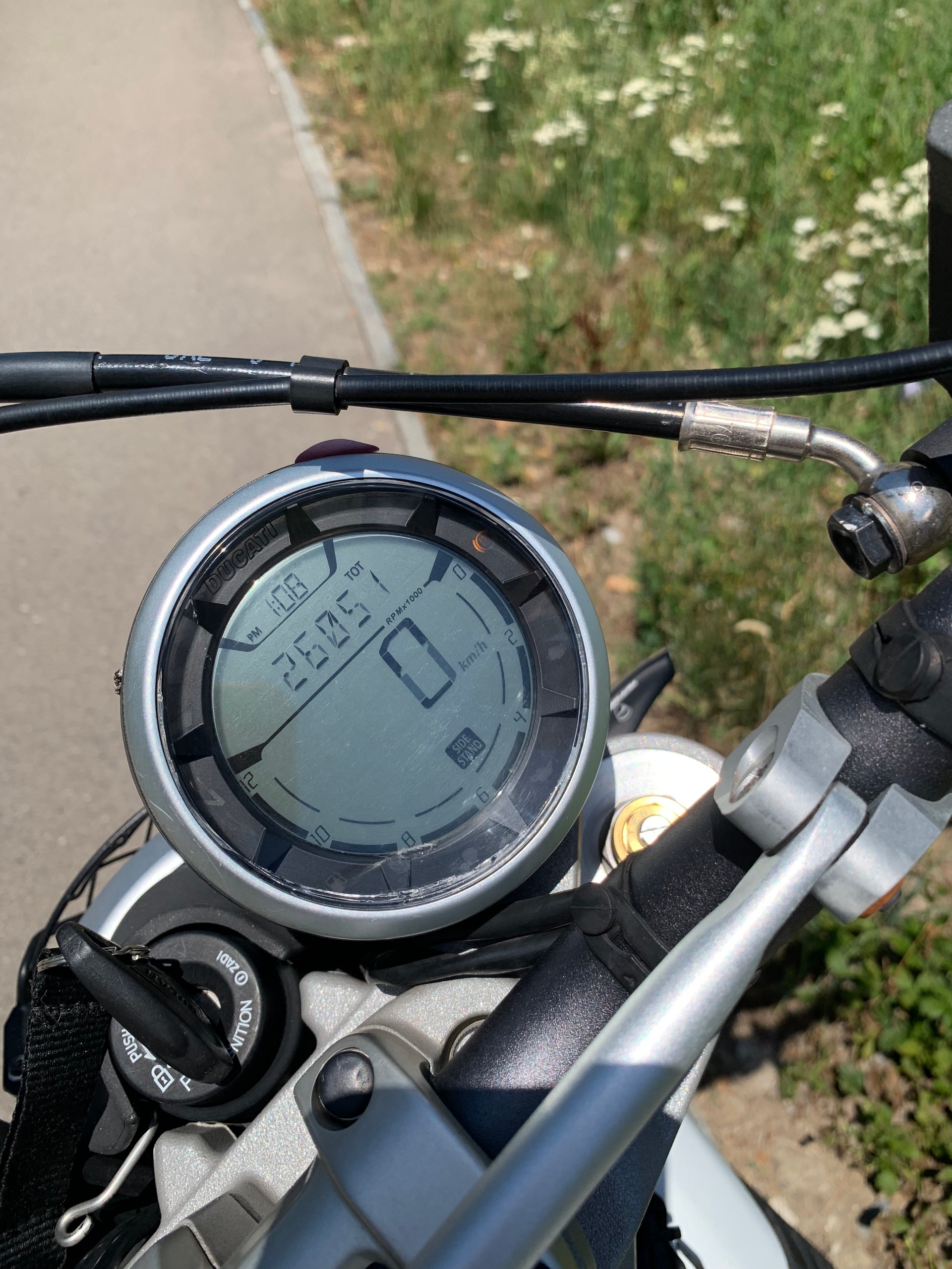 DUCATI Scrambler 800 Desert Sled mit Desmo Service-image-6
