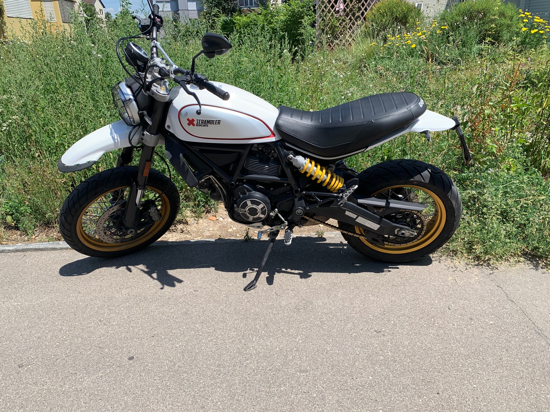 DUCATI Scrambler 800 Desert Sled mit Desmo Service-image-0