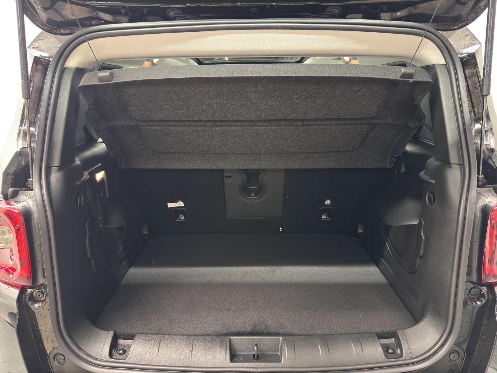 JEEP Renegade 1.5 Turbo Summit&Sky-image-10