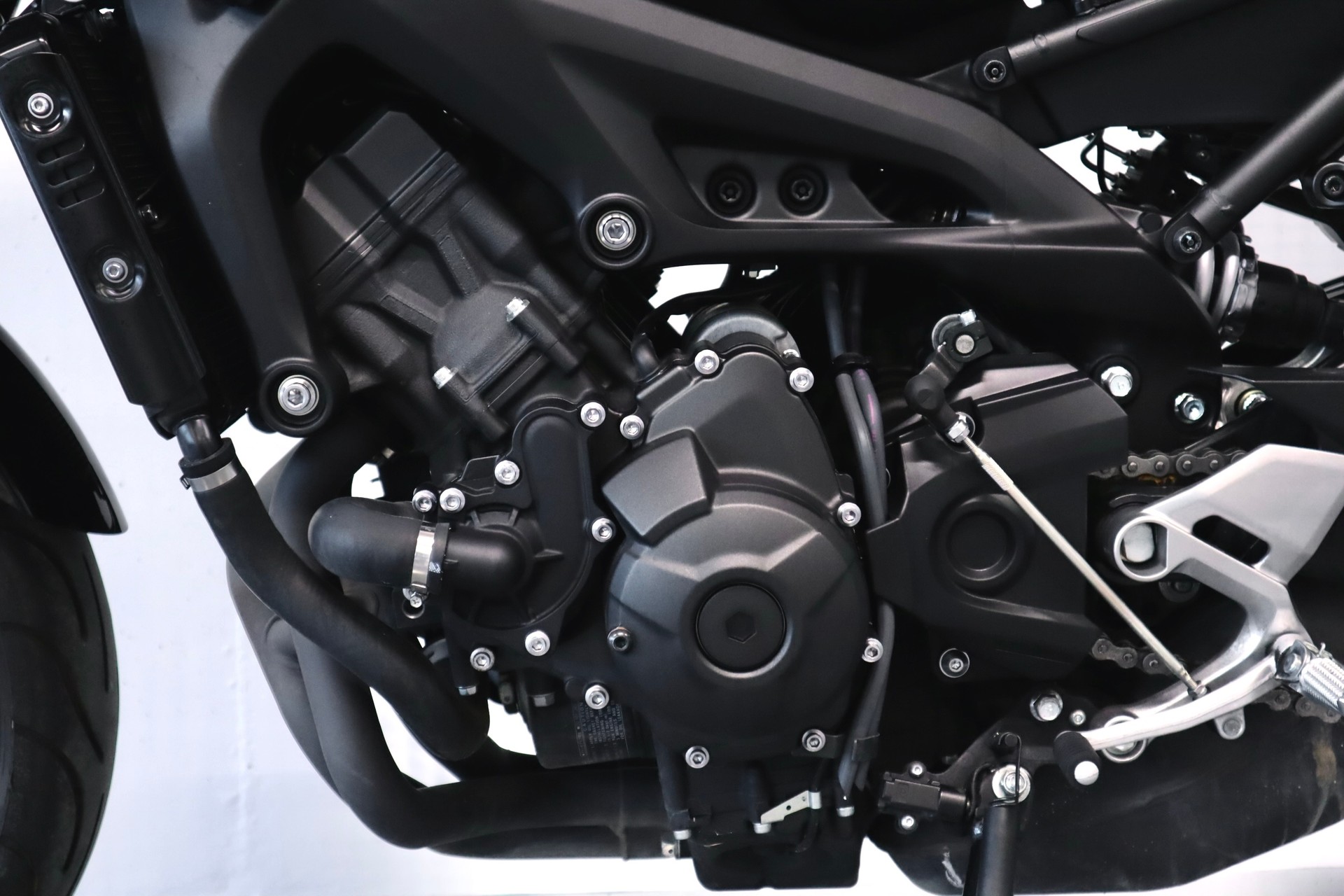 DUCATI Monster 821 | SCHWARZ MATT | TOP ZUSTAND-image-9