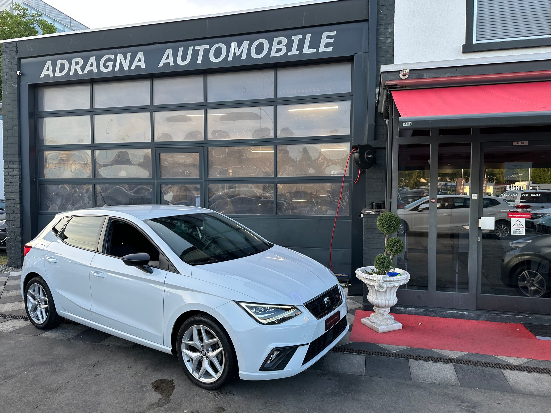 SEAT Ibiza 1.0 EcoTSI Hola FR DSG-showroom-element-1