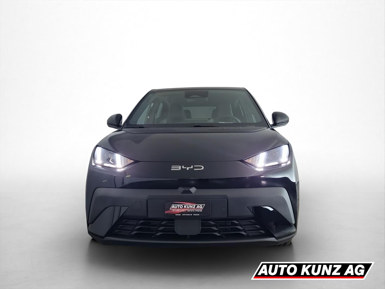 BYD Dolphin Surf 43 kWh Boost-showroom-element-1