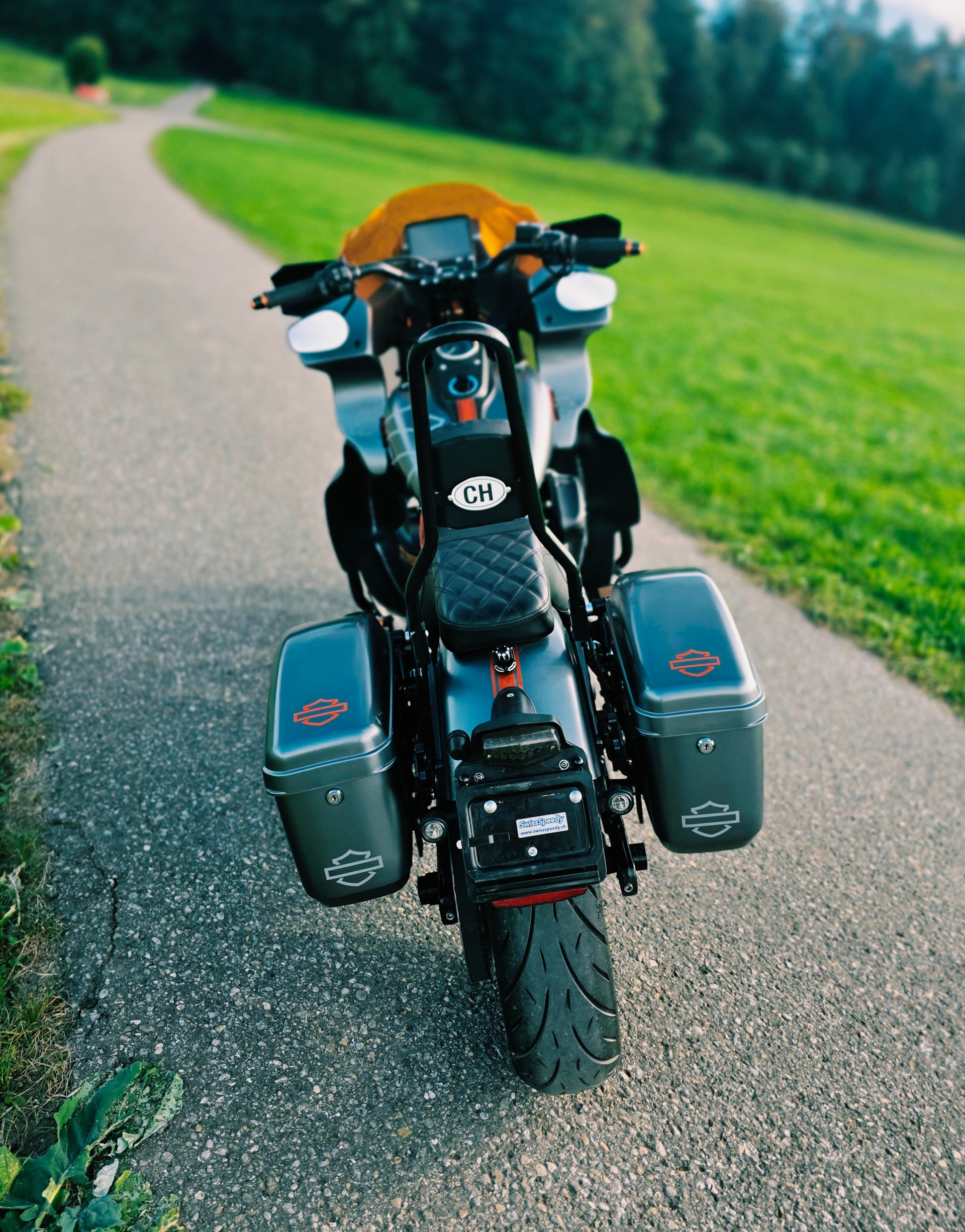 HARLEY-DAVIDSON FXDB Dyna Street Bob ABS-image-7