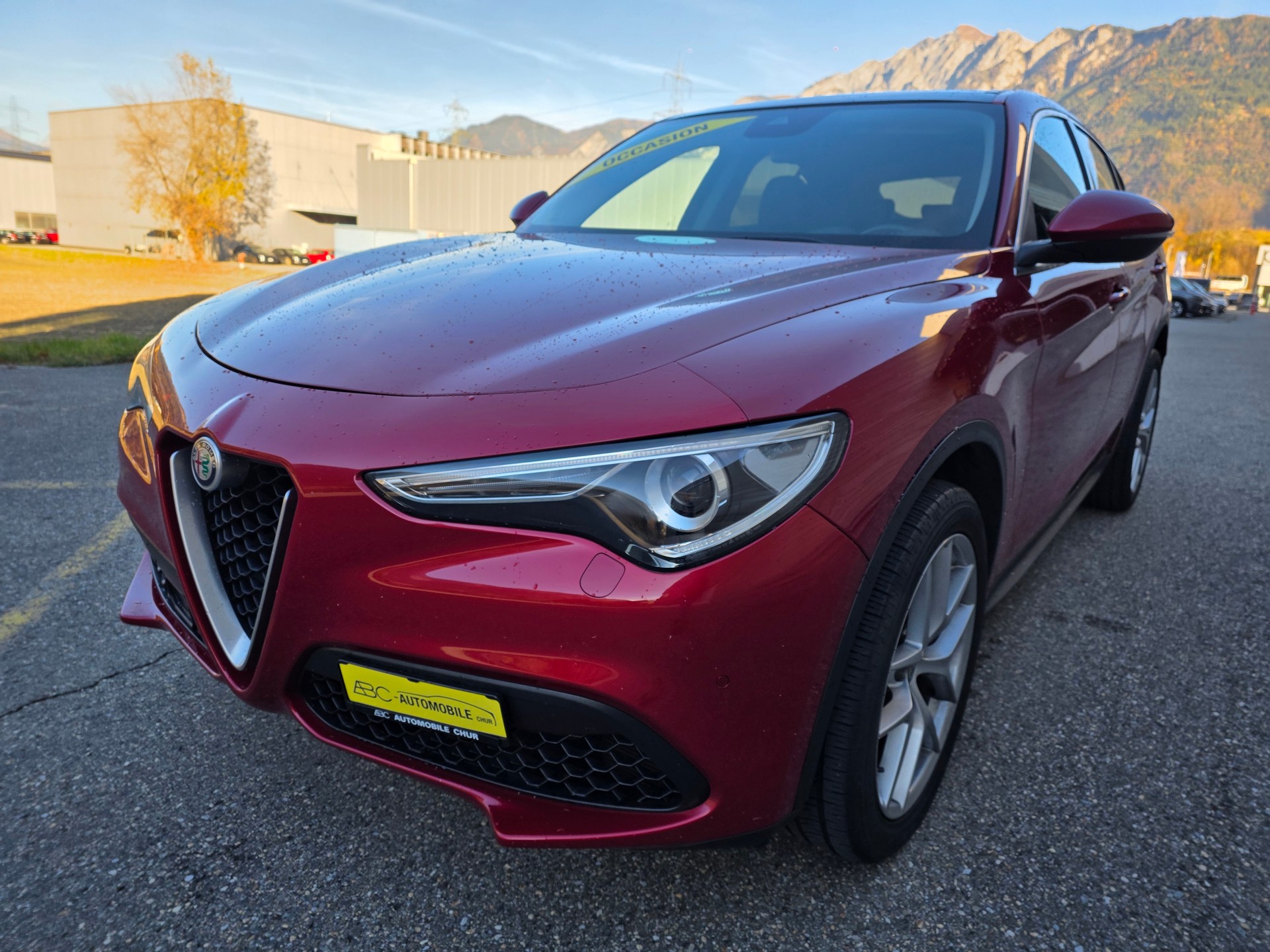 ALFA ROMEO Stelvio 2.0 First Edition Q4 Automatic-image-14