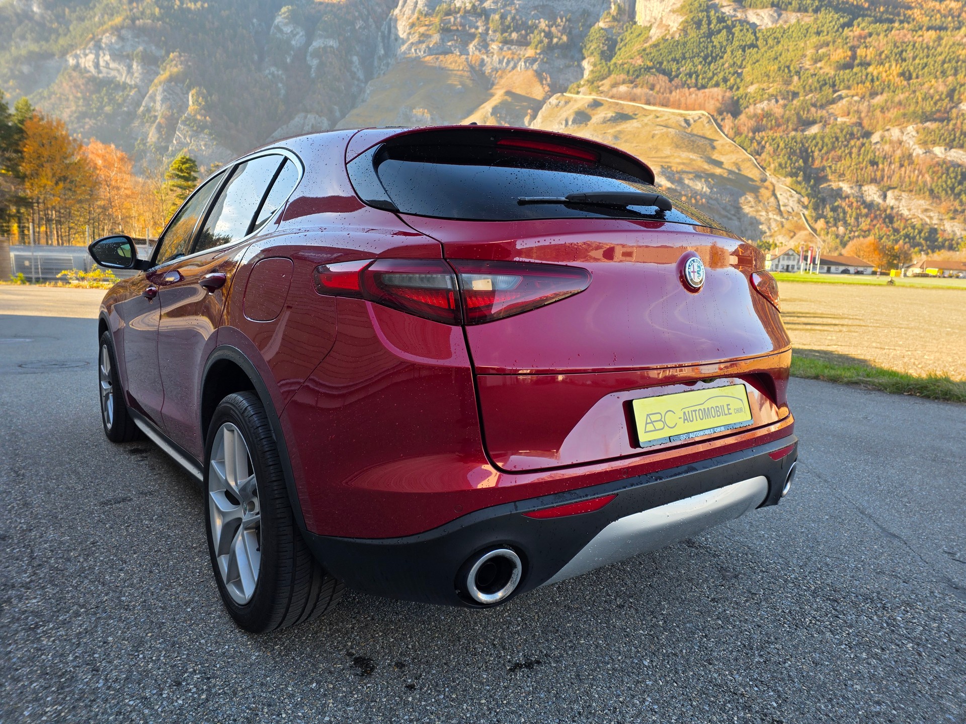ALFA ROMEO Stelvio 2.0 First Edition Q4 Automatic-image-8