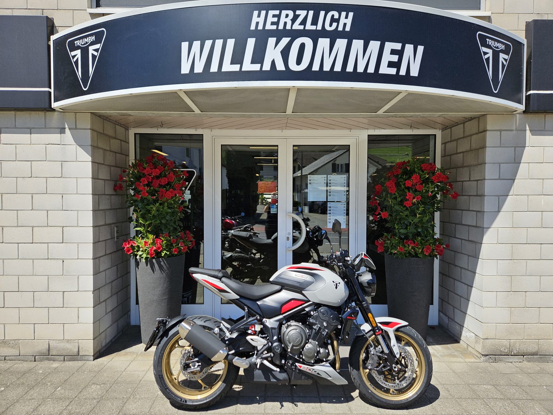 TRIUMPH Trident 800-image-0