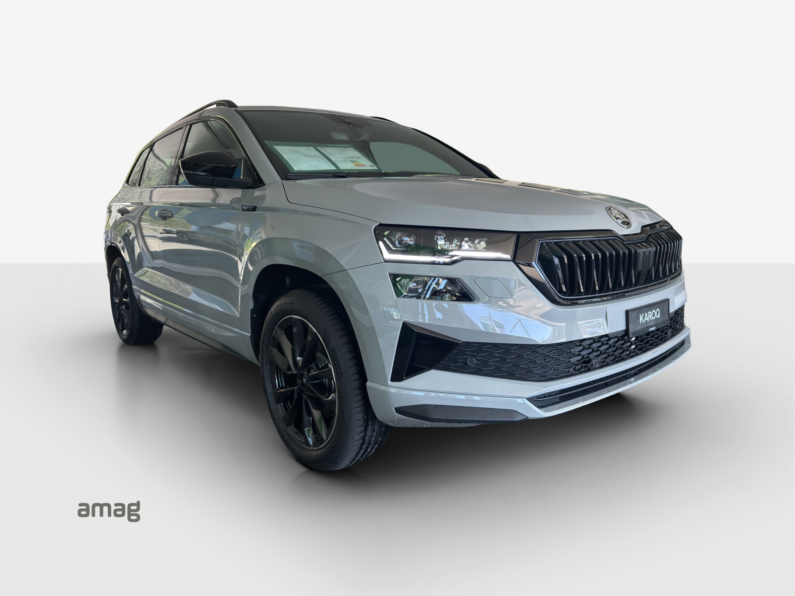 SKODA Karoq 2.0 TSI SportLine 4x4 DSG-image-5