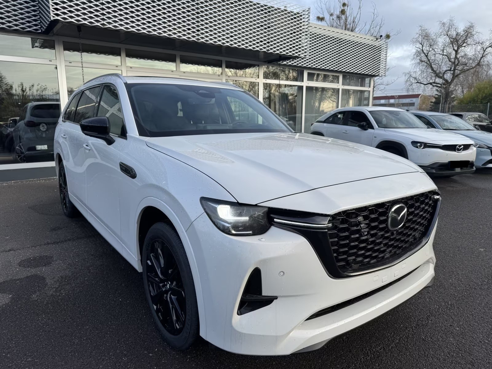 MAZDA CX-80 e-Skyactiv PHEV 327 AWD Homura Plus 7-Sitzer-showroom-element-1