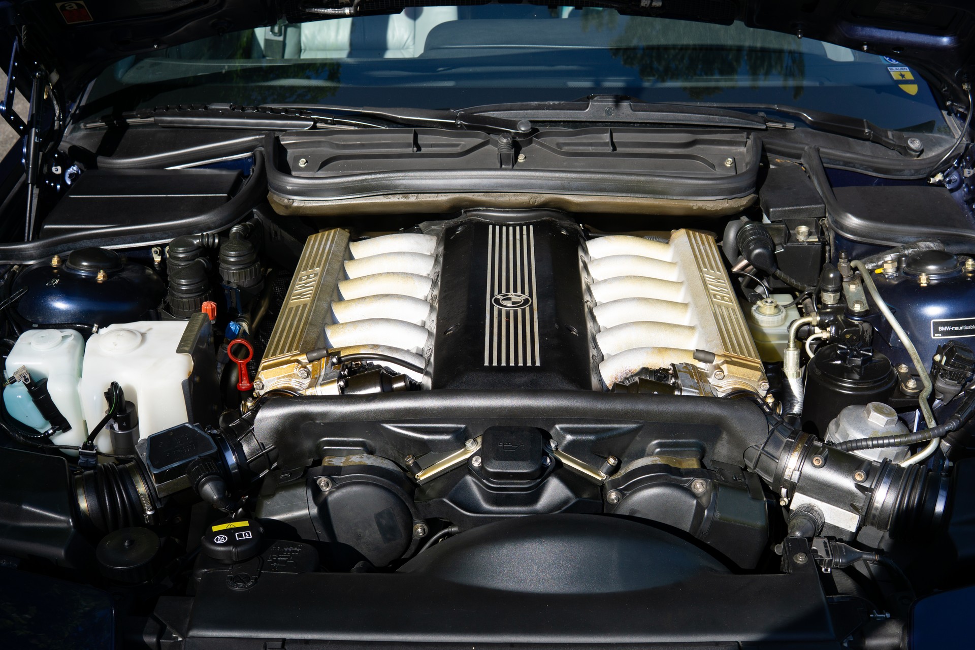 BMW 850i Veteran-image-7