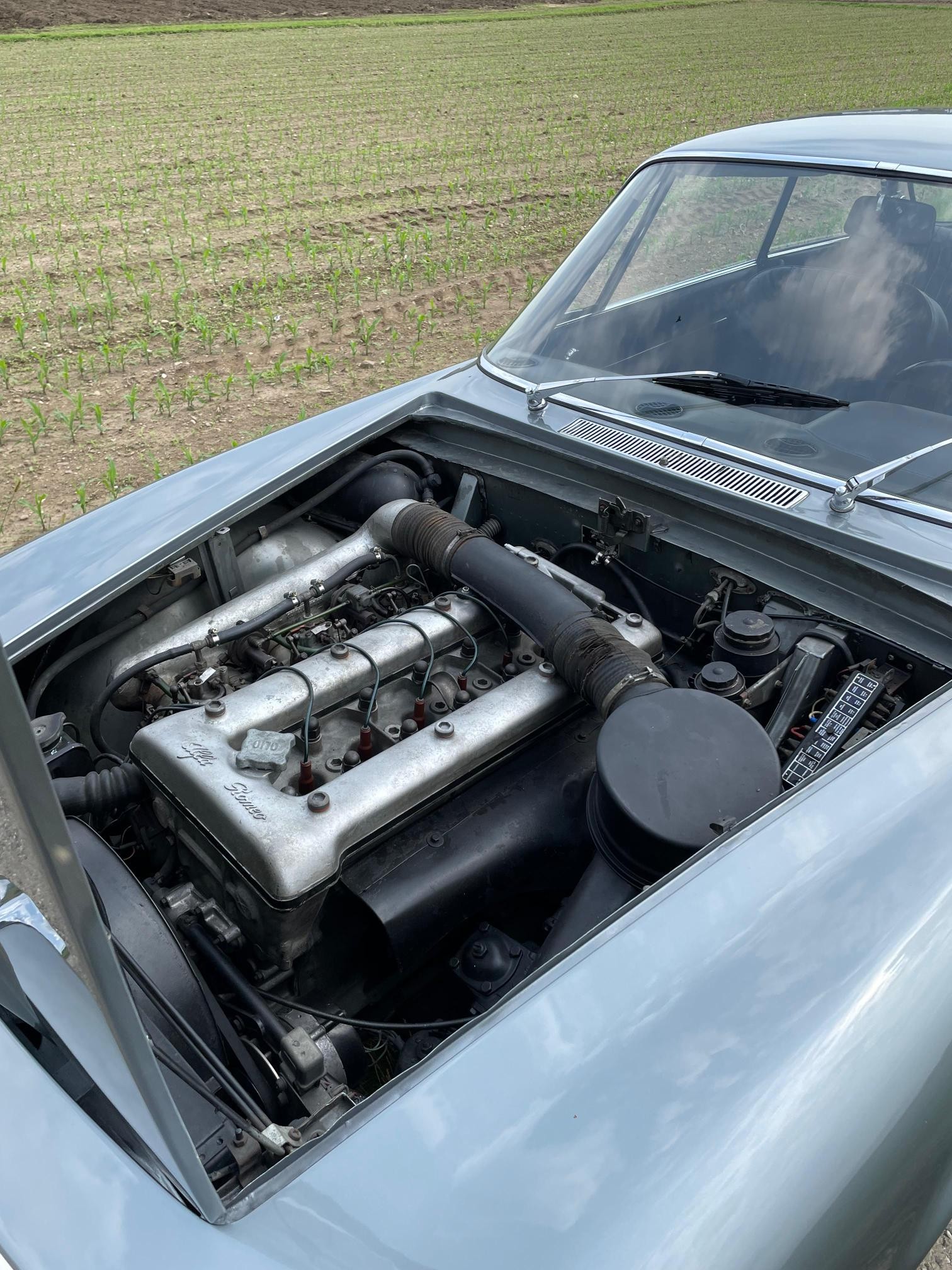 ALFA ROMEO SPRINT-image-9
