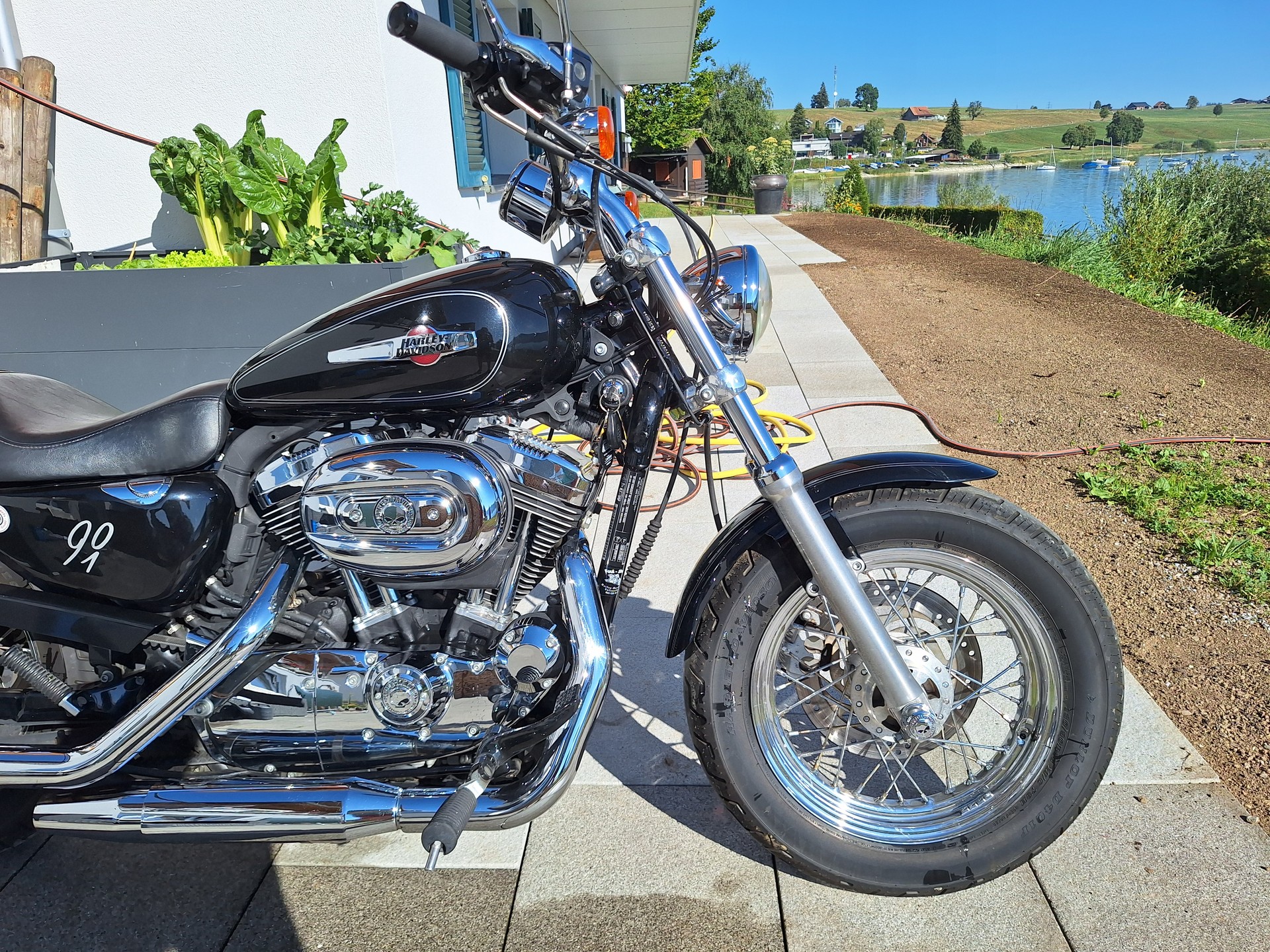 HARLEY-DAVIDSON XL1200C-image-2