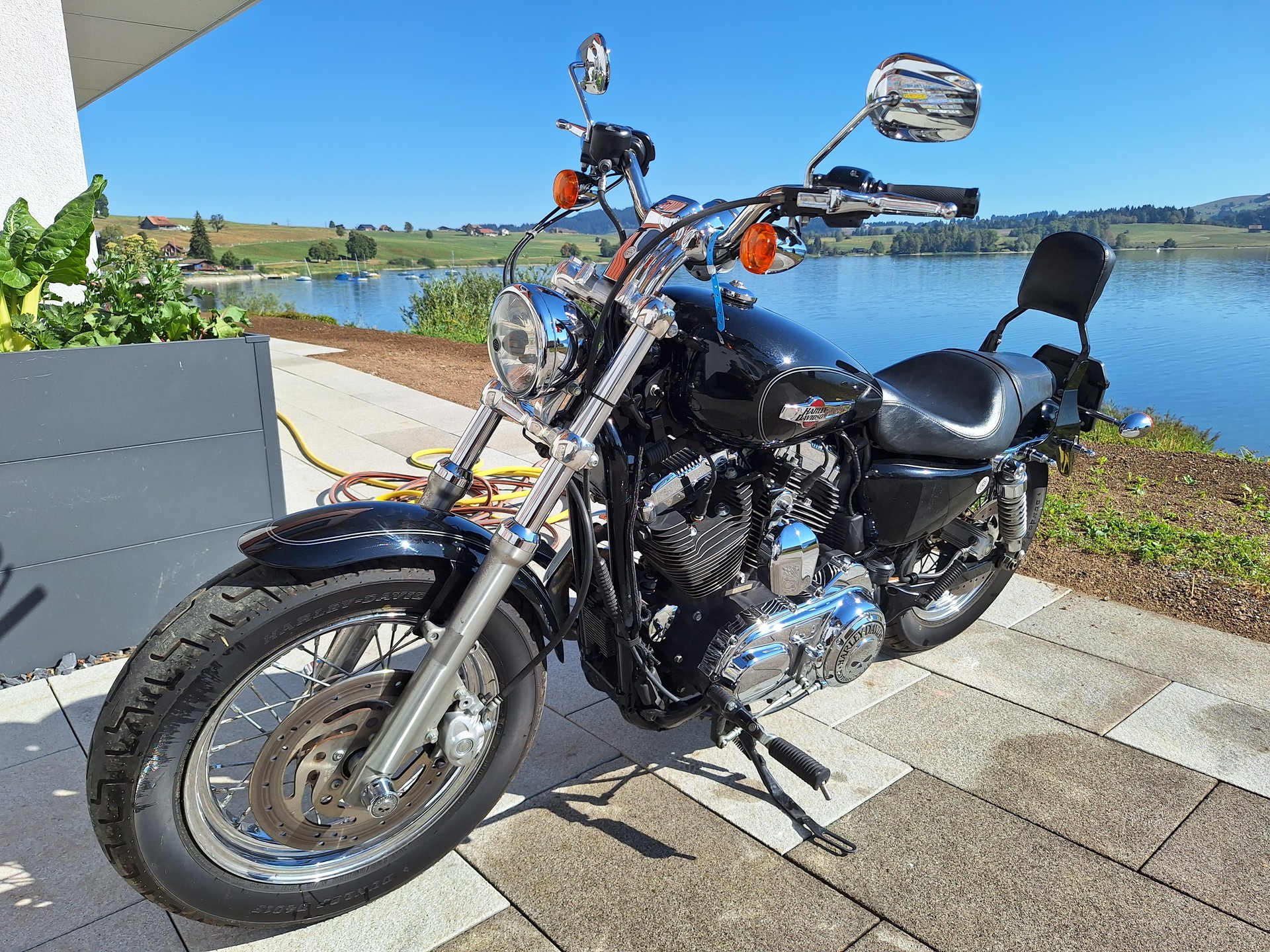 HARLEY-DAVIDSON XL1200C-image-5
