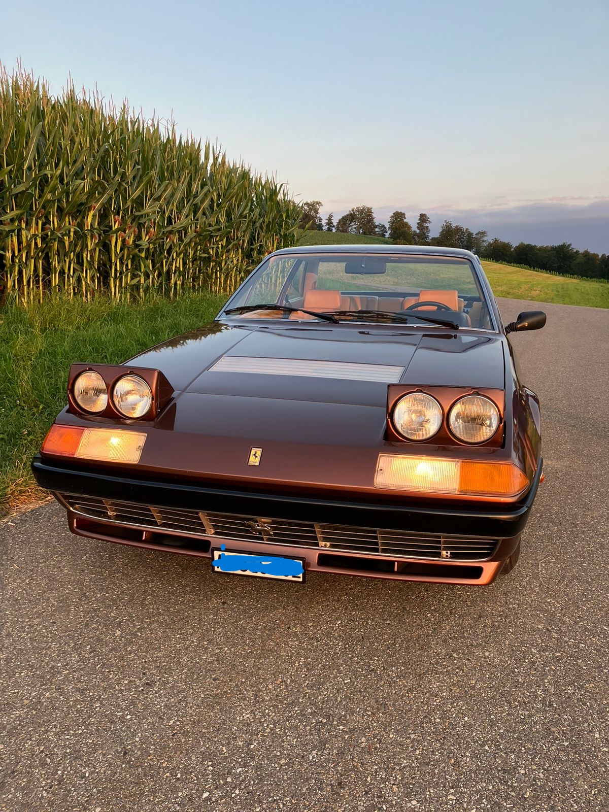 FERRARI 400-image-3