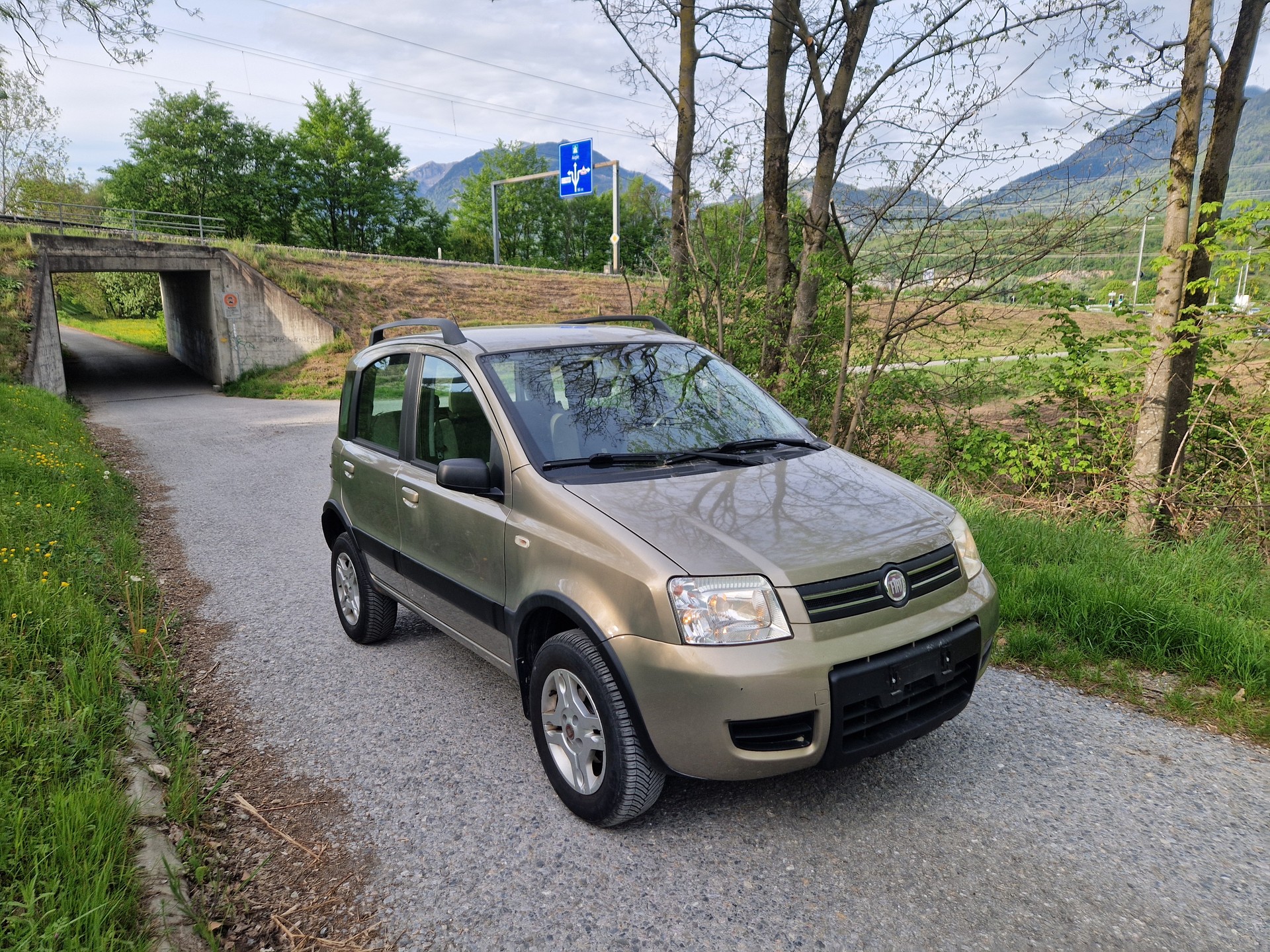 FIAT Panda 1.2 4x4 (Trekking)-image-2