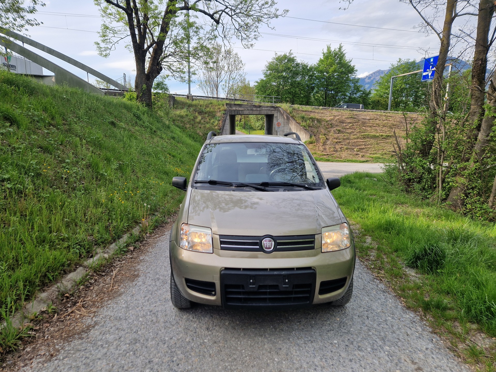FIAT Panda 1.2 4x4 (Trekking)-image-1