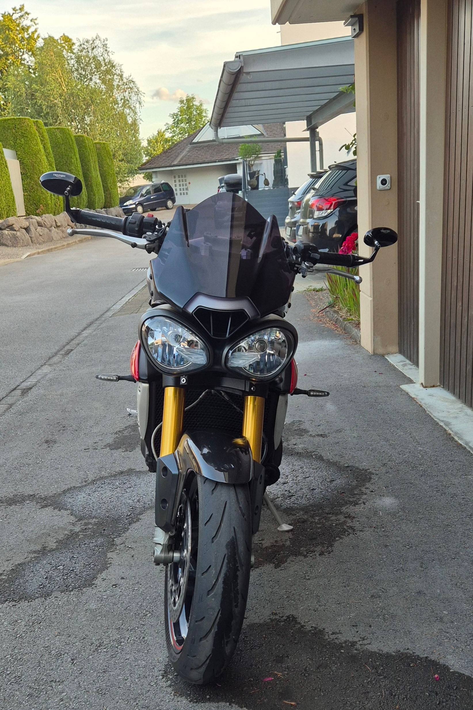 TRIUMPH Speed Triple R 1050 ABS-image-1