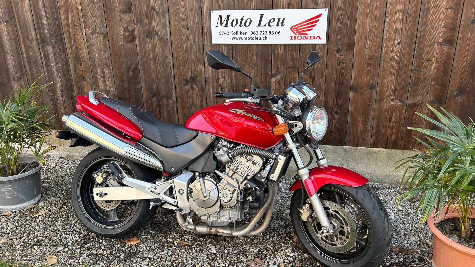 HONDA CB 600 F Hornet-image-10