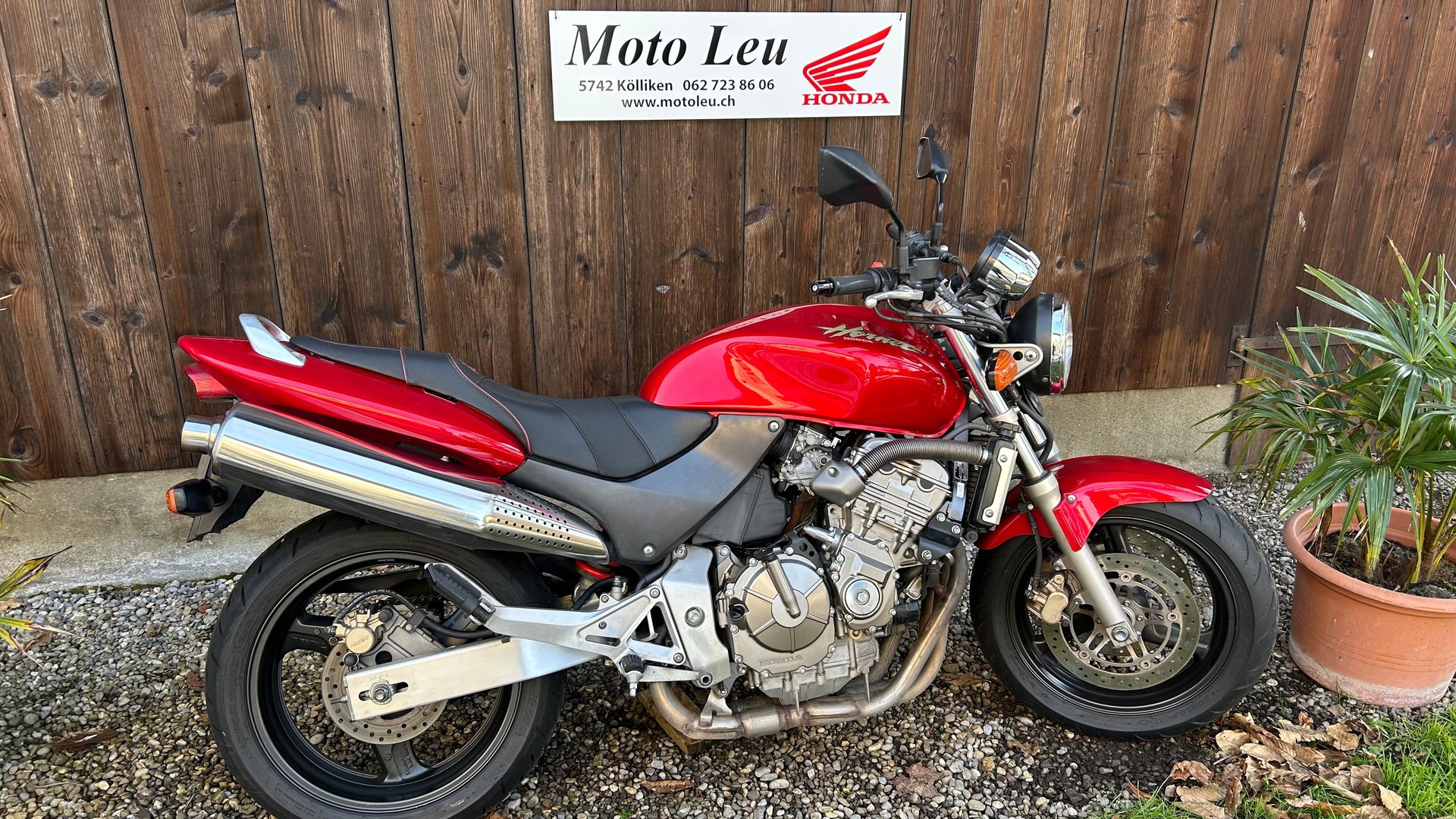 HONDA CB 600 F Hornet-image-1