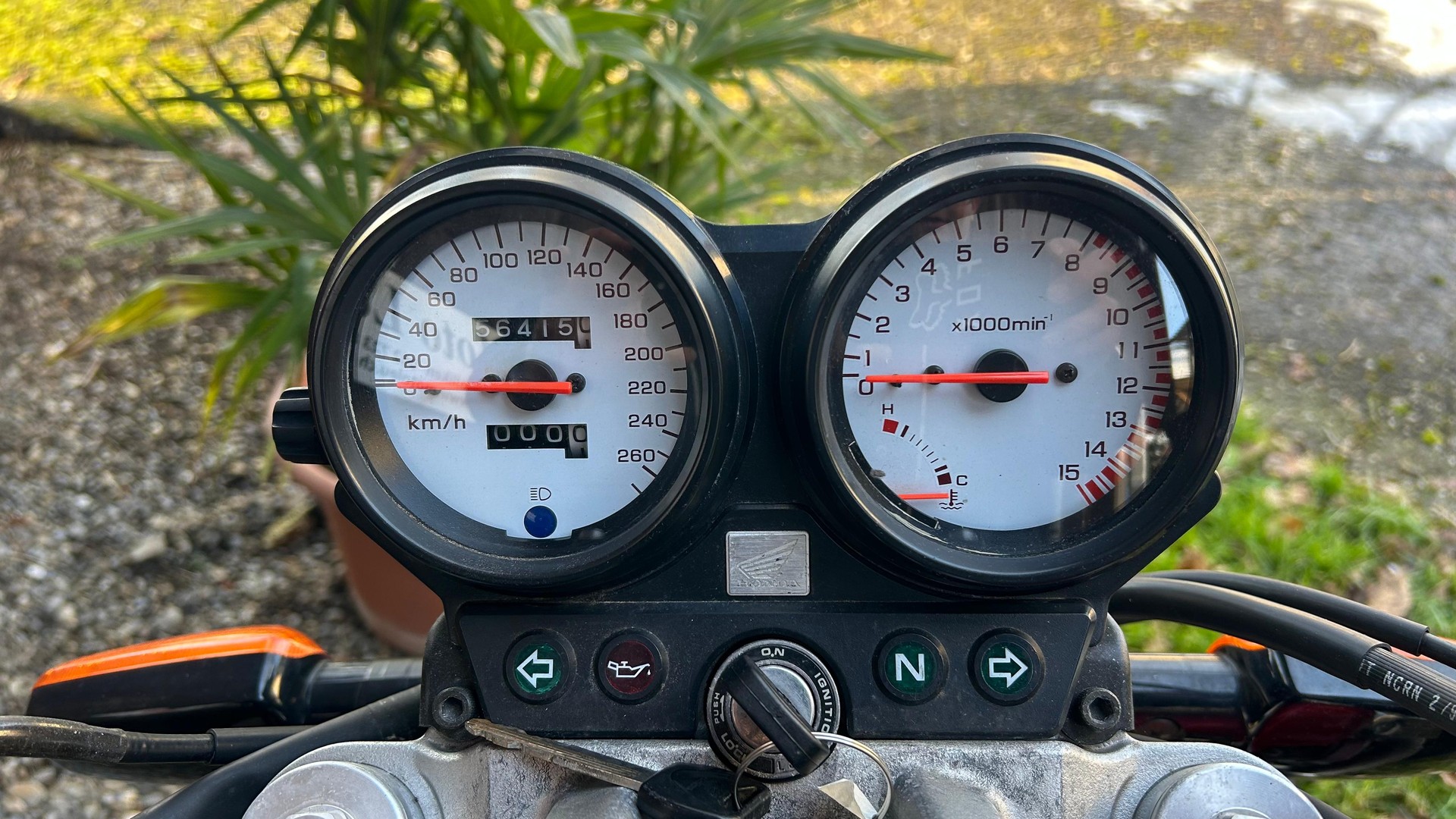 HONDA CB 600 F Hornet-image-3