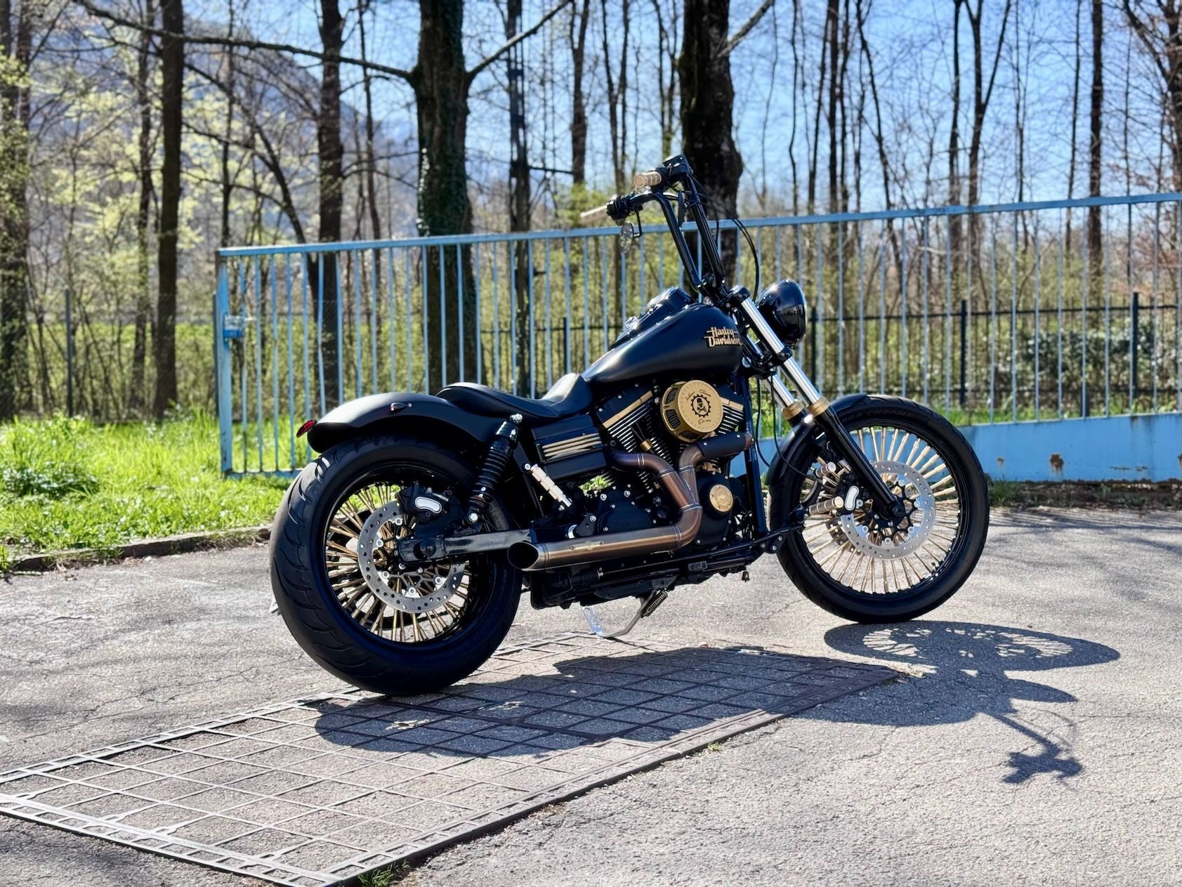HARLEY-DAVIDSON FXDF Dyna Fat Bob-image-0