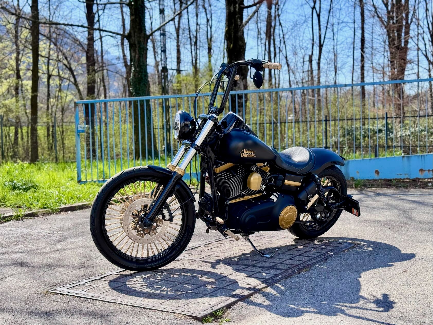 HARLEY-DAVIDSON FXDF Dyna Fat Bob-image-8