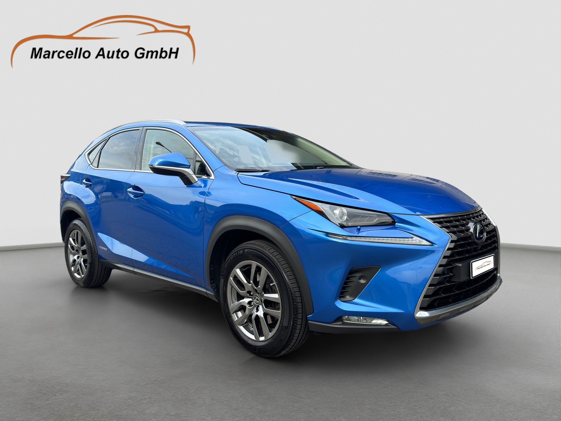 LEXUS NX 300h Comfort E-Four Automatic-image-2