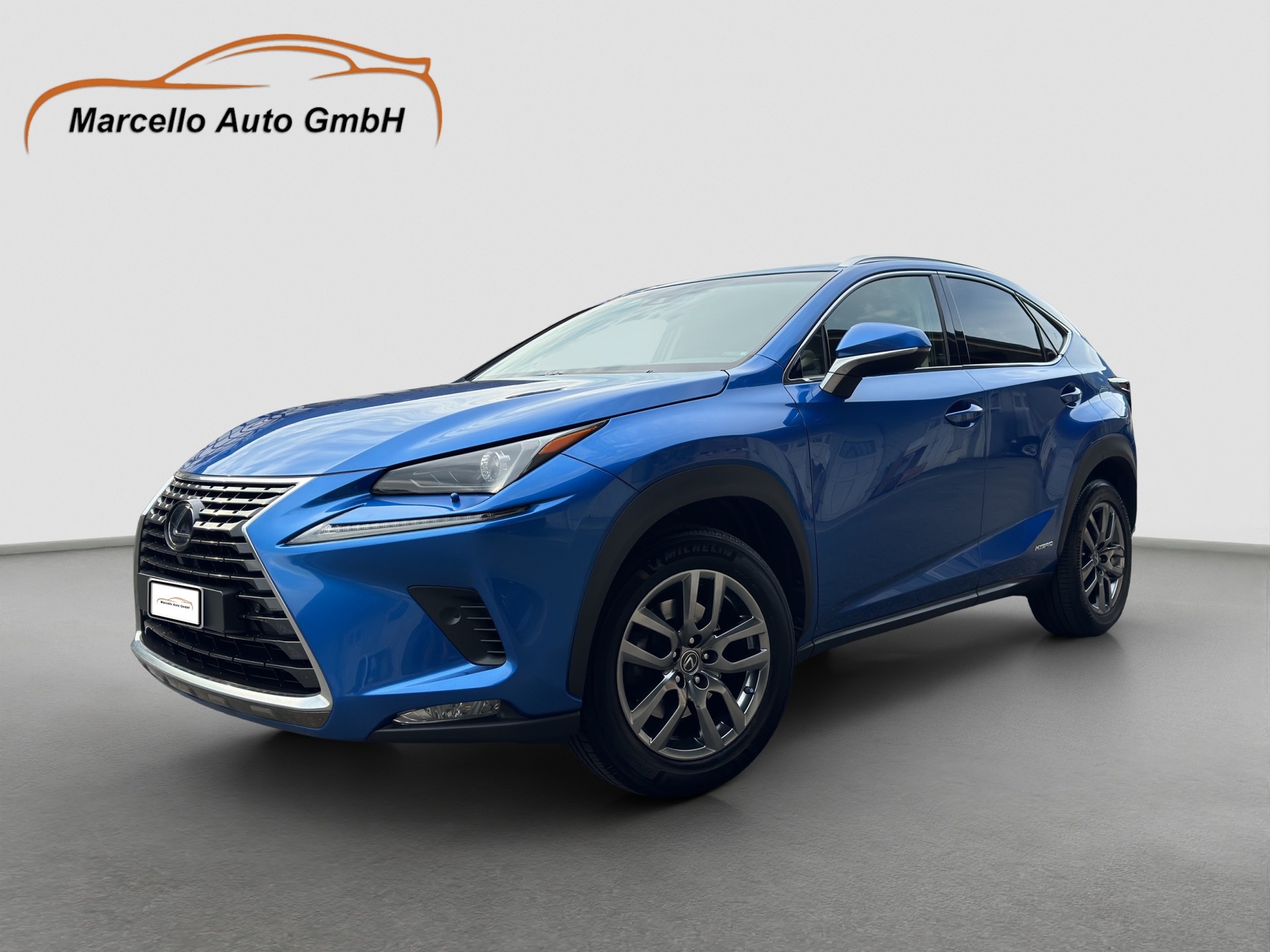 LEXUS NX 300h Comfort E-Four Automatic