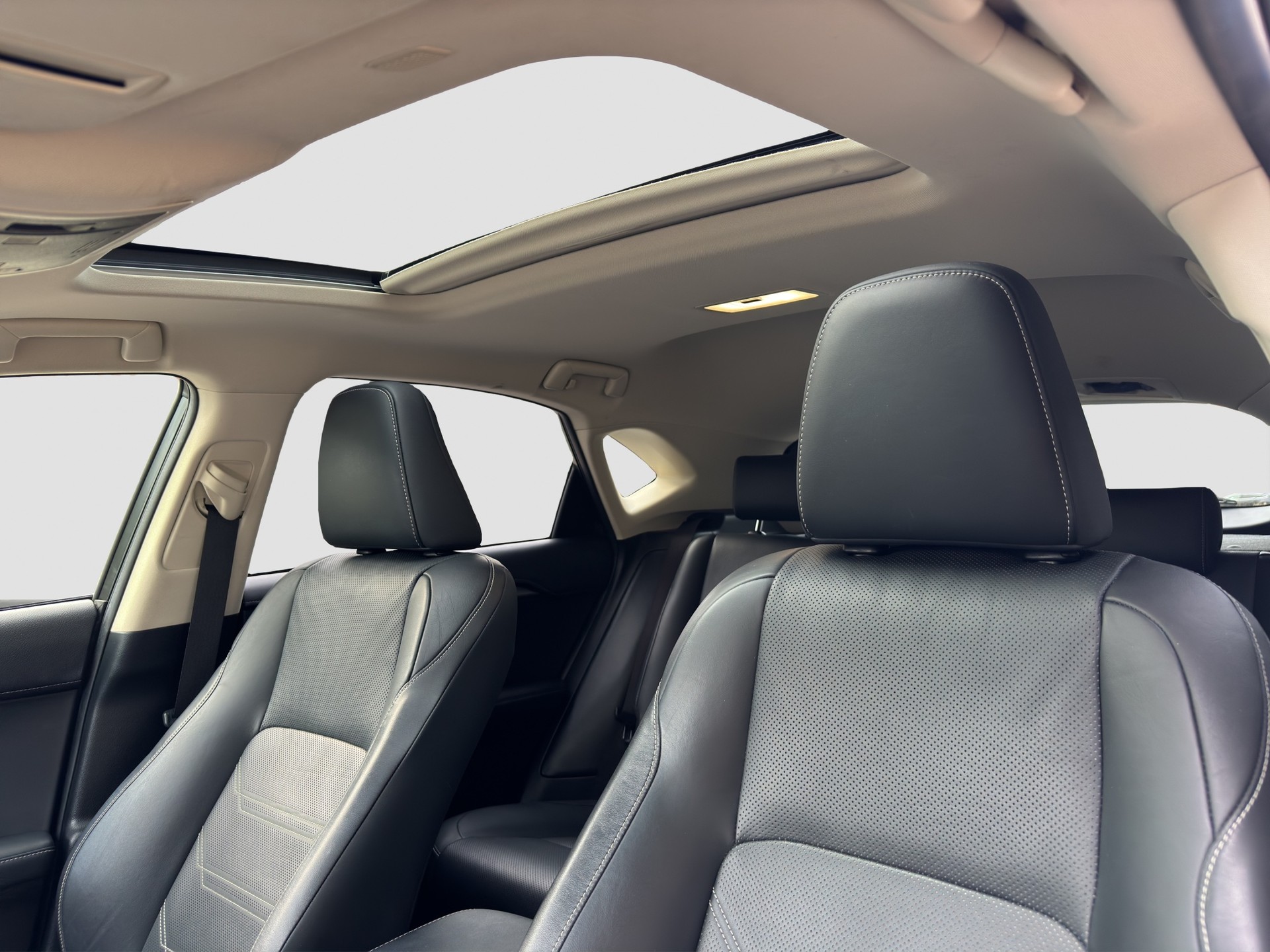 LEXUS NX 300h Comfort E-Four Automatic-image-11