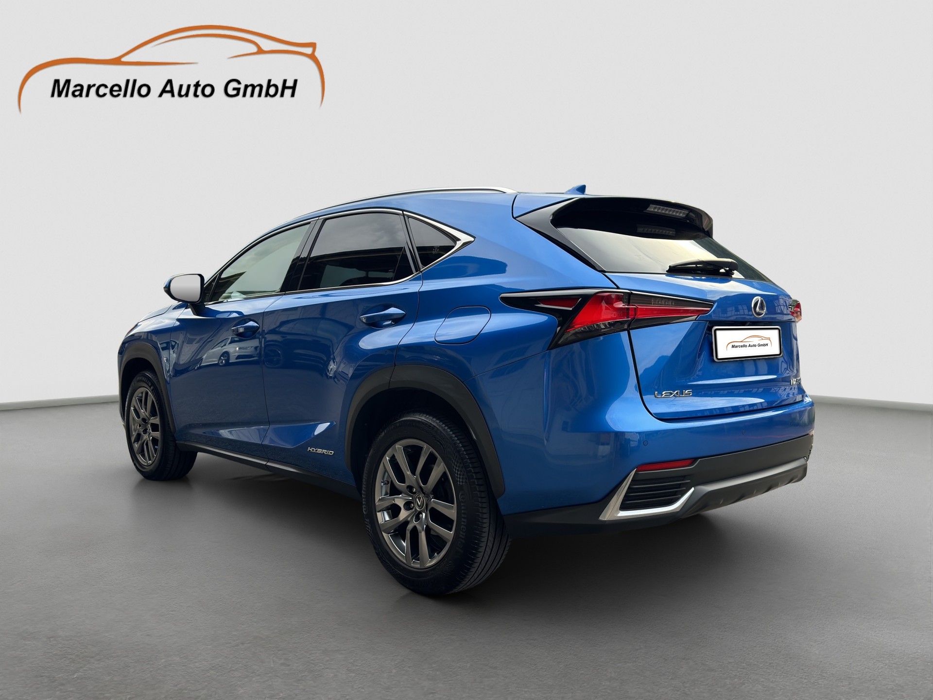 LEXUS NX 300h Comfort E-Four Automatic-image-13