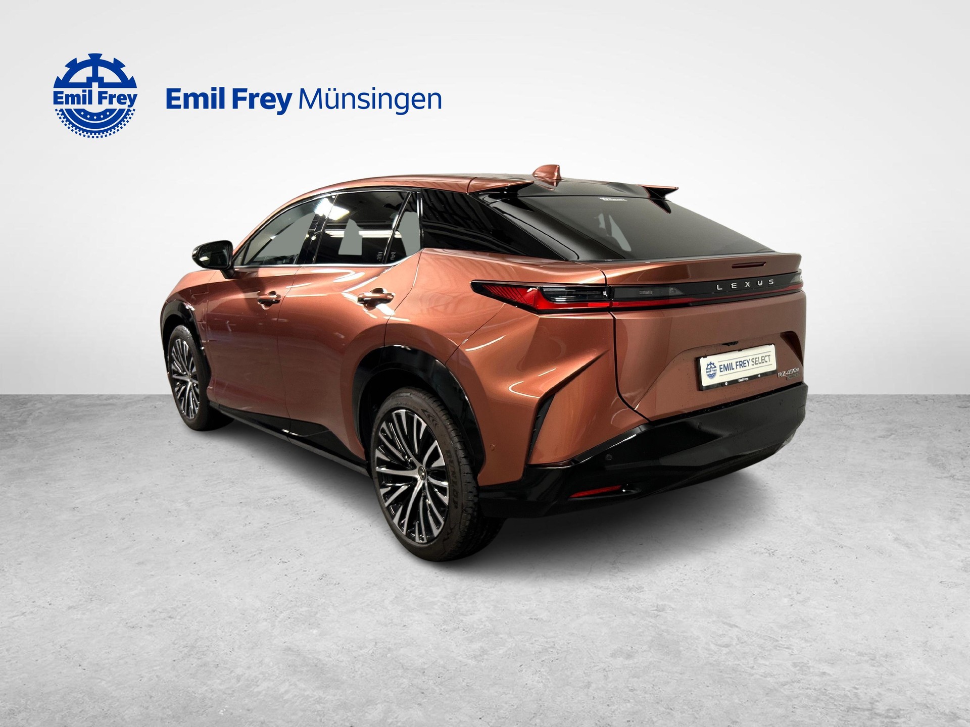 LEXUS RZ 450e Excellence-image-10