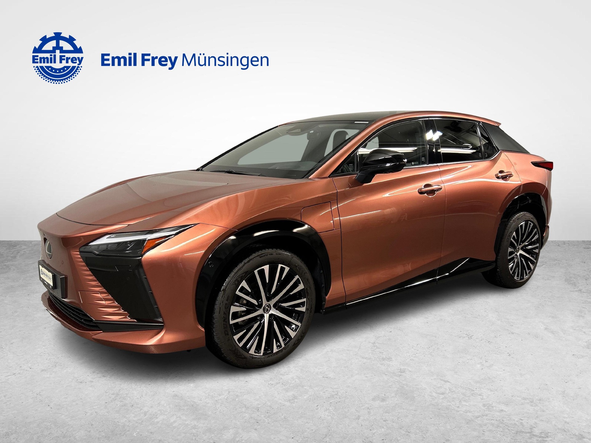 LEXUS RZ 450e Excellence-showroom-element-2