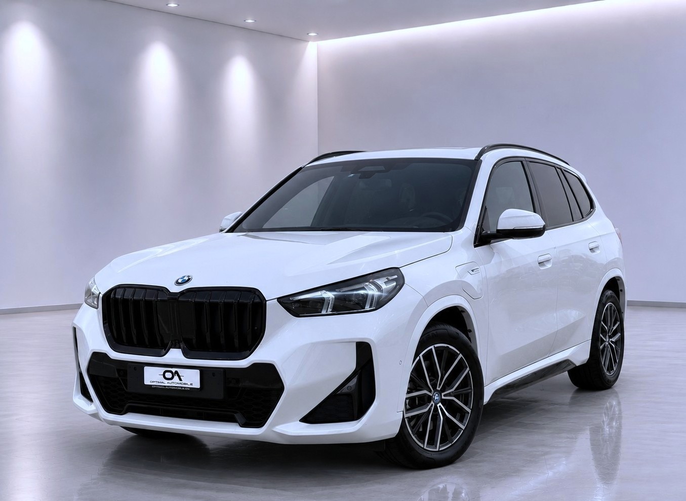 BMW X1 xDrive 25e M-SPORT - *1. HAND CH-FZ.* - *TOP-AUSSTATTUNG* - *GRATIS-SERVICE & WERKSGARANTIE* - *8-FACH ALU*