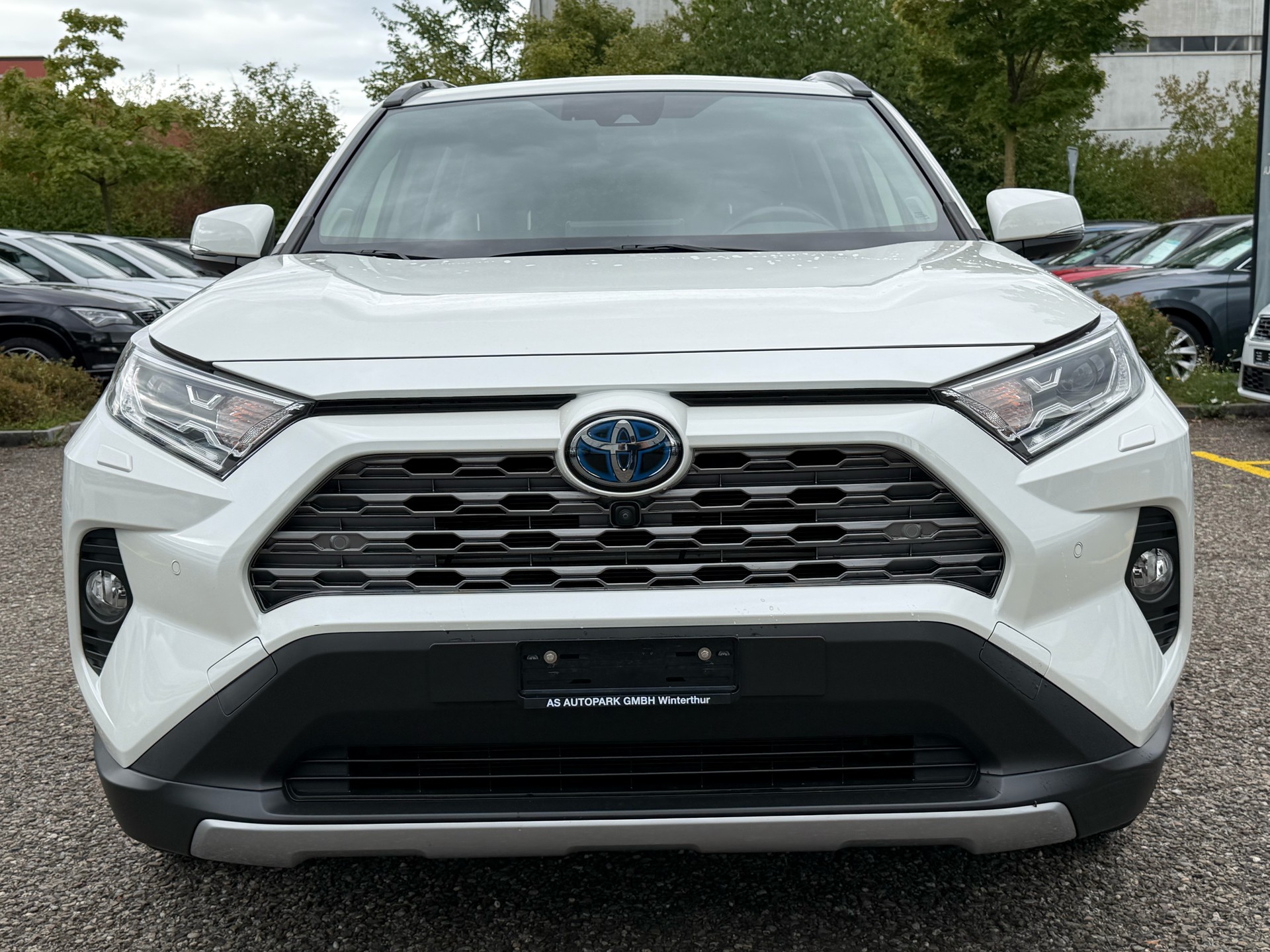 TOYOTA RAV-4 2.5 HSD Premium e-CVT 4WD-showroom-element-1