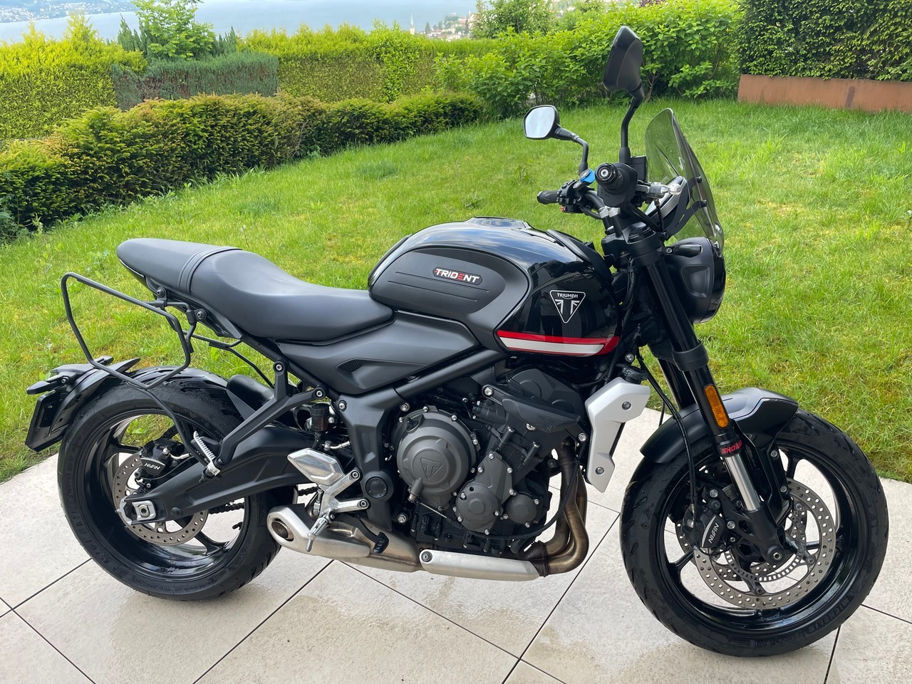 TRIUMPH Trident 660-image-2