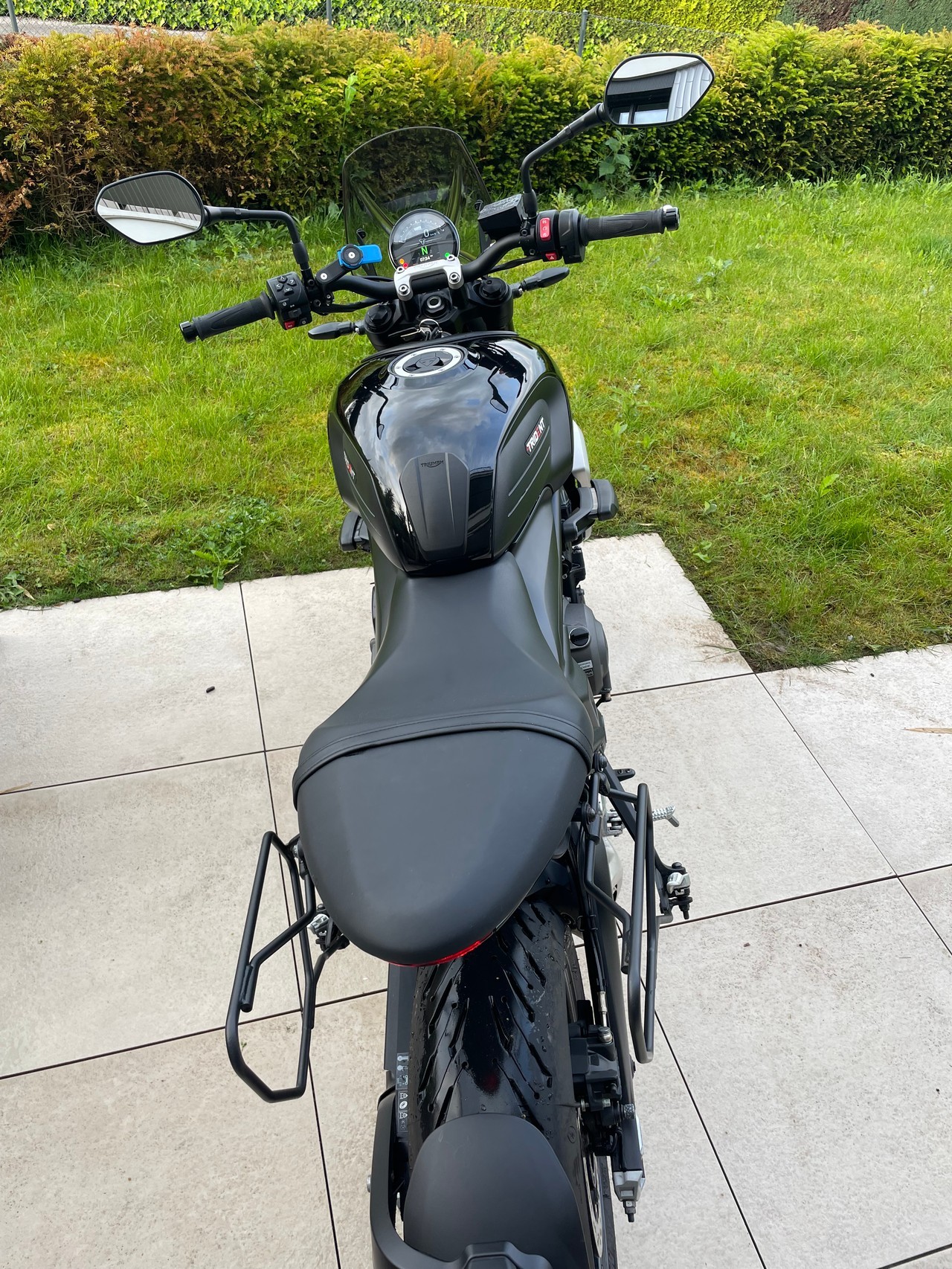 TRIUMPH Trident 660-image-3