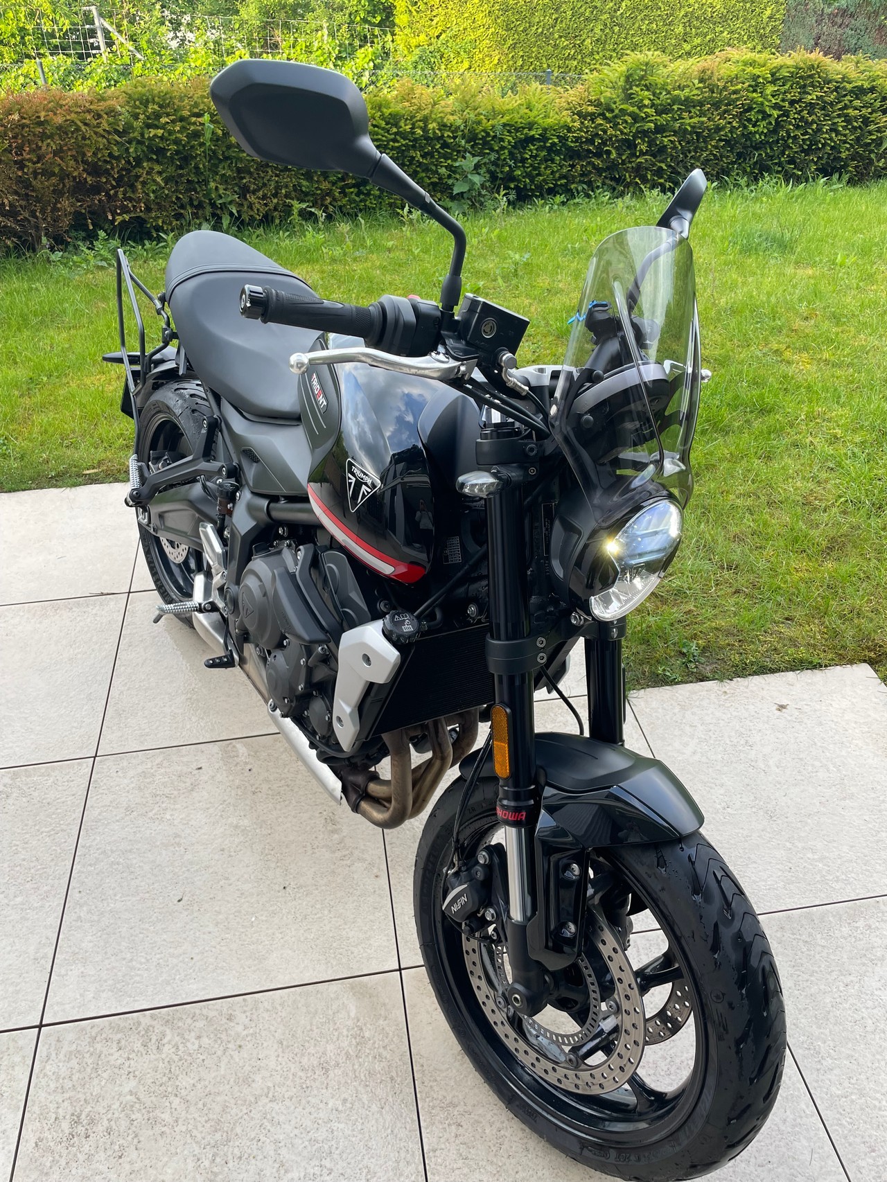 TRIUMPH Trident 660-image-6