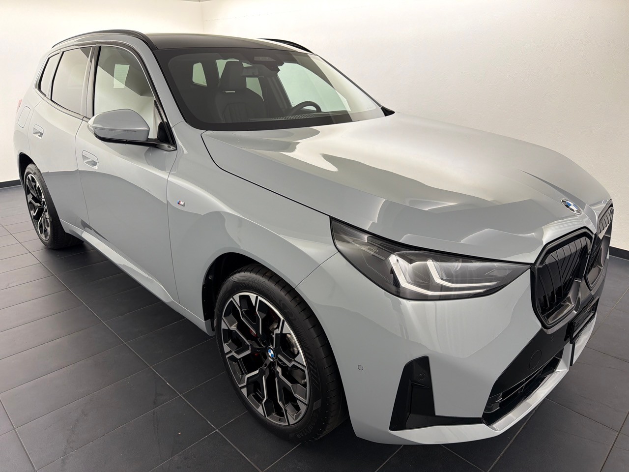 BMW X3 xDr 48V 20d M Sp. Pro-showroom-element-3
