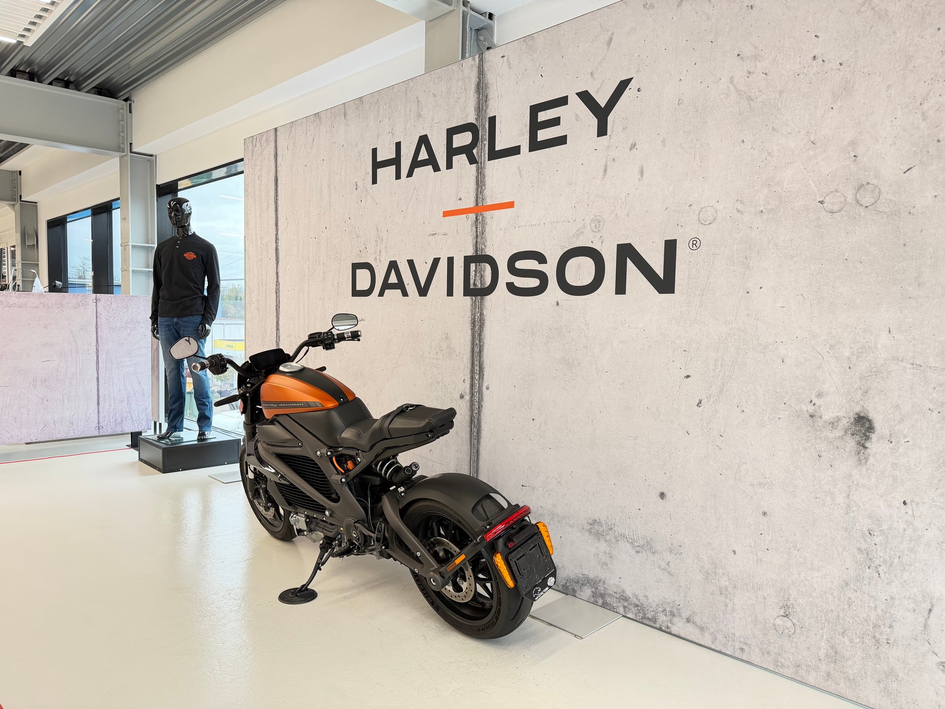 HARLEY-DAVIDSON Live Wire-image-5