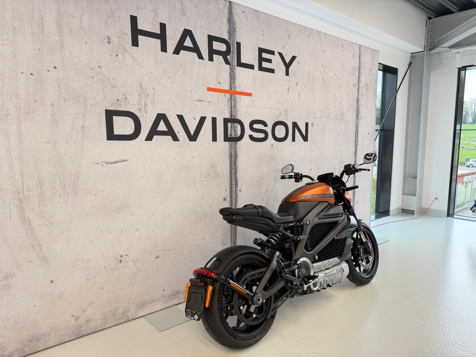 HARLEY-DAVIDSON Live Wire-image-2