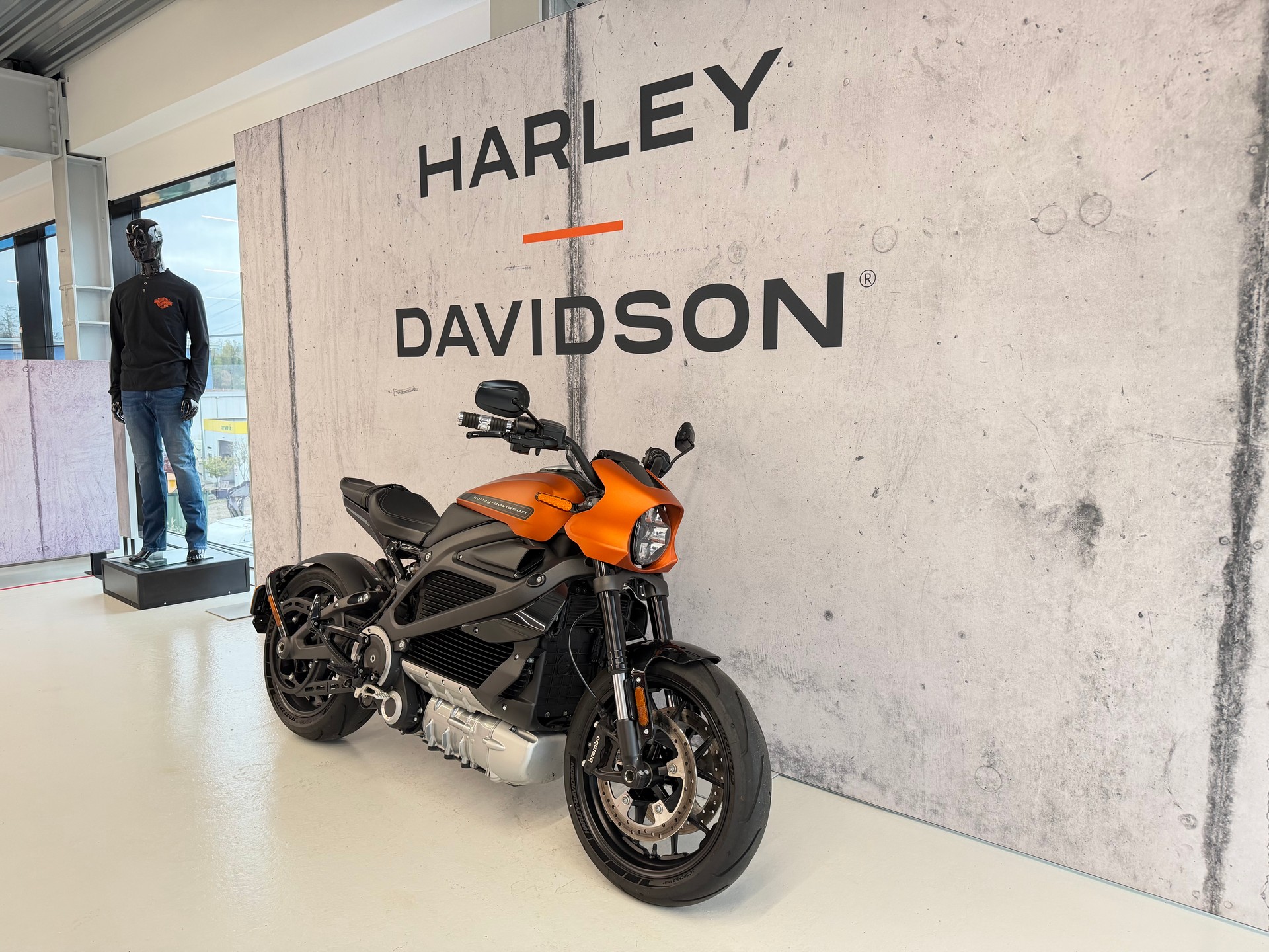 HARLEY-DAVIDSON Live Wire-image-1