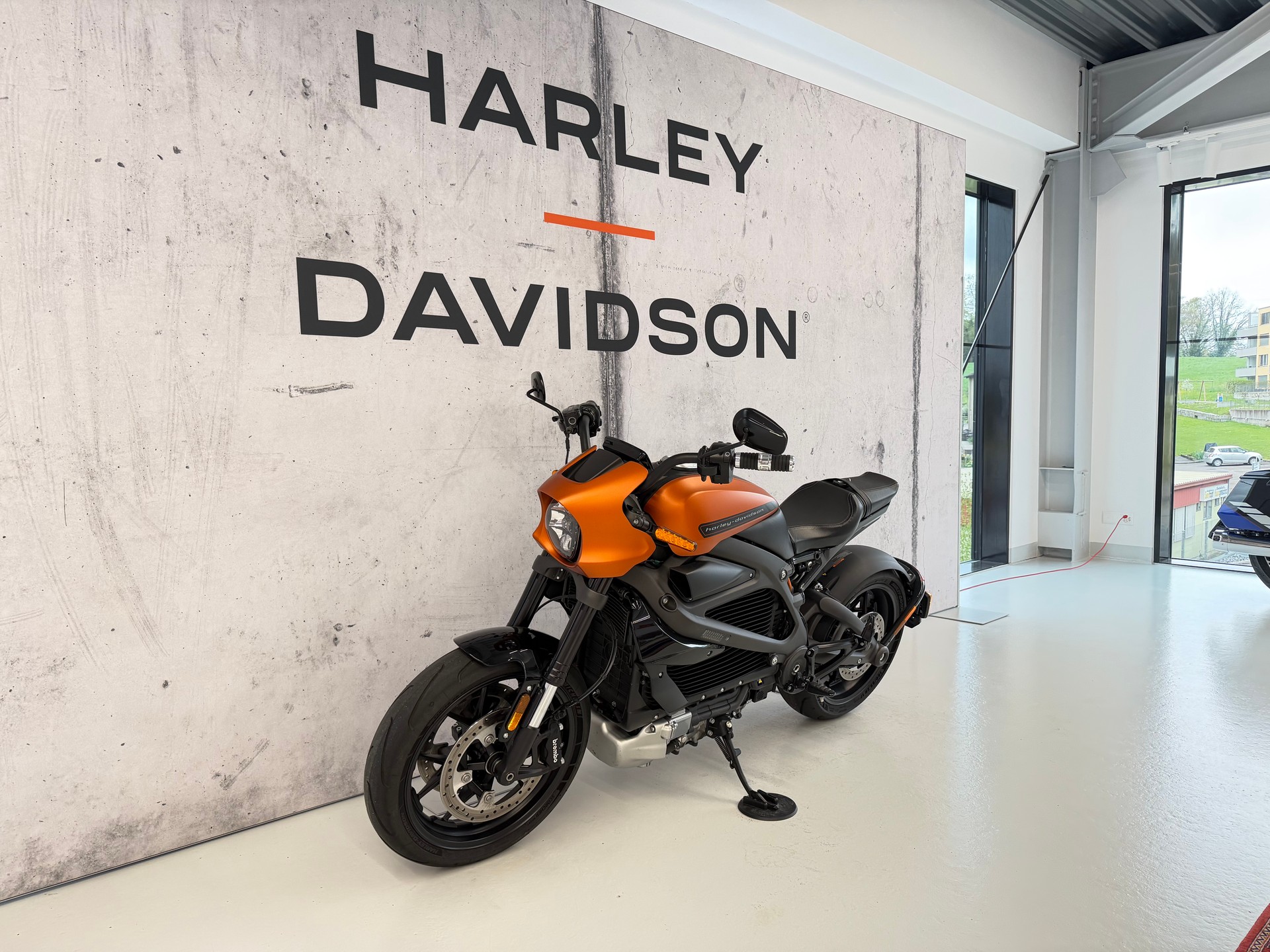 HARLEY-DAVIDSON Live Wire-image-4